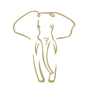 Elephant symbol
